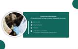fe11eda4f300a7503e16de374415fafa-11_9_11zon
