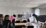 изображение_viber_2026-06-01_11-36-09-962