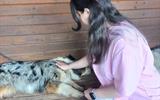 изображение_viber_2026-06-04_19-55-41-721